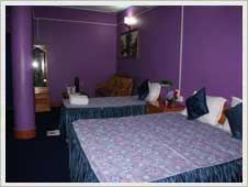 Manufacturers Exporters and Wholesale Suppliers of Hotel Golden fish Lachung Silguri West Bengal